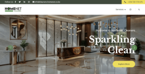 homenet cleaners web design in kenya