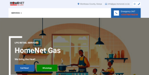 homenet gas web design in kenya